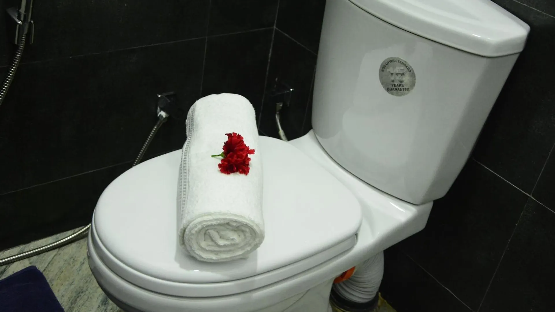 Hotel Seven Luck Palace Kandy